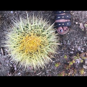 Meet your Posher, Kinibop